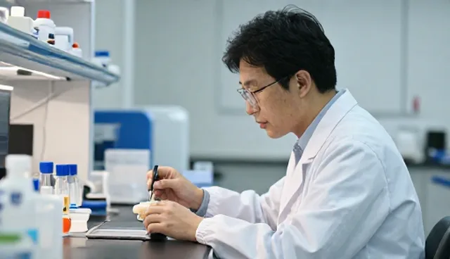 技术选型中的常见误区与理解澄清
